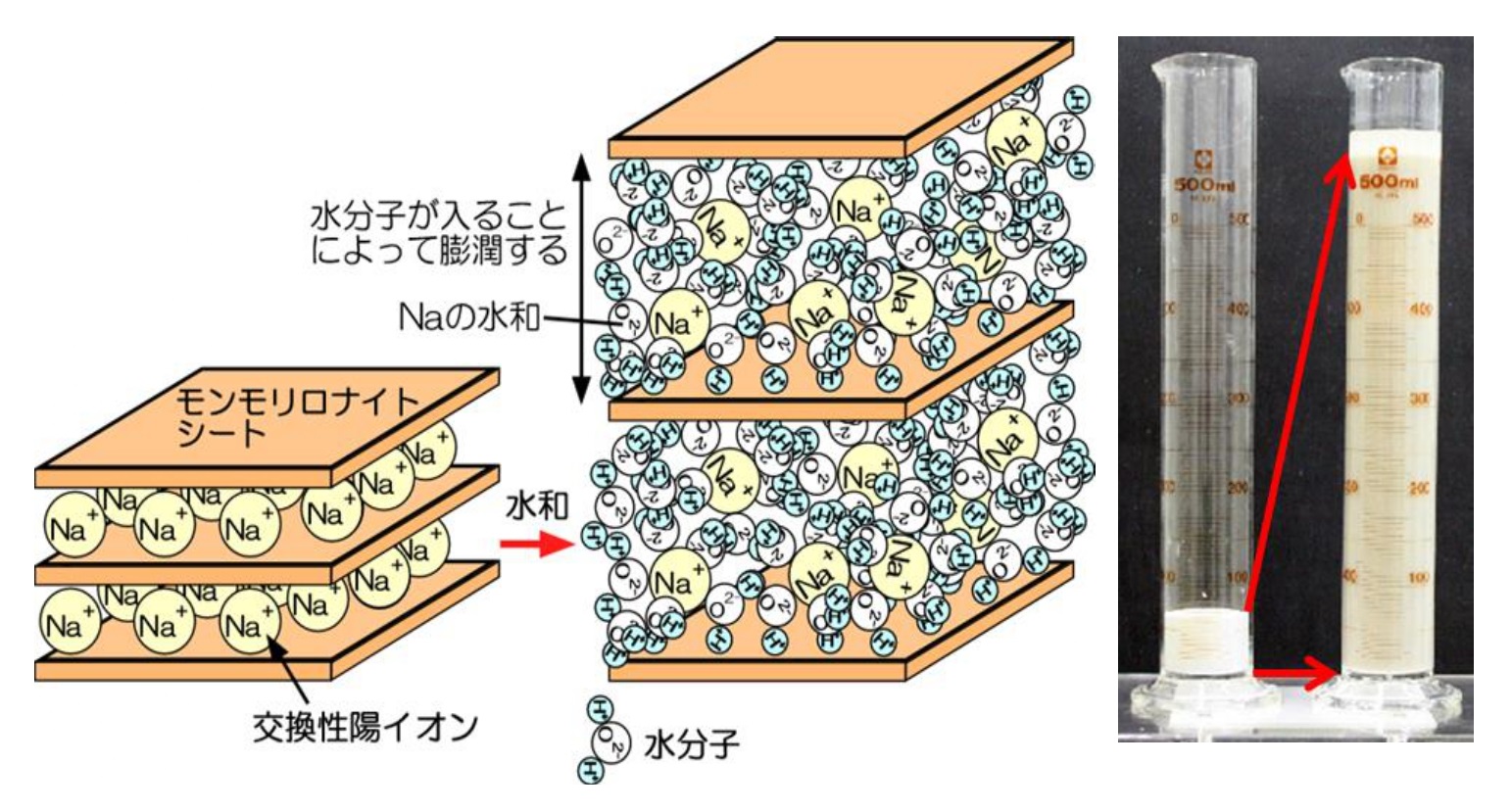 ベントナイトの膨潤（膨れること）について熱力学モデル